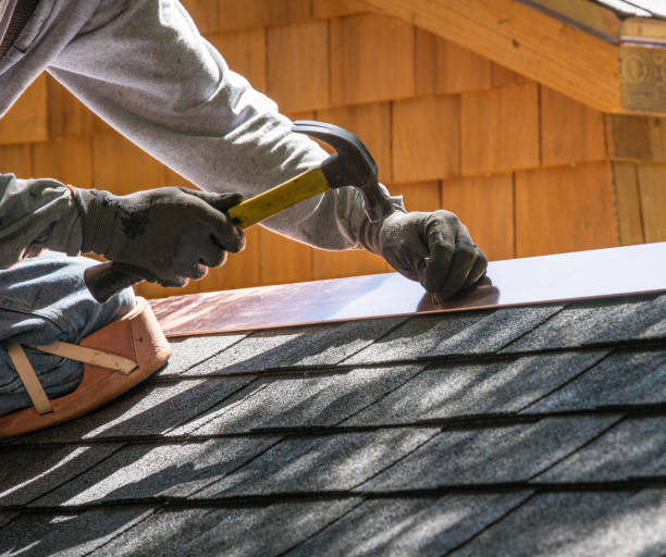 Best Roof Repair Services  in Tyndall Af, FL